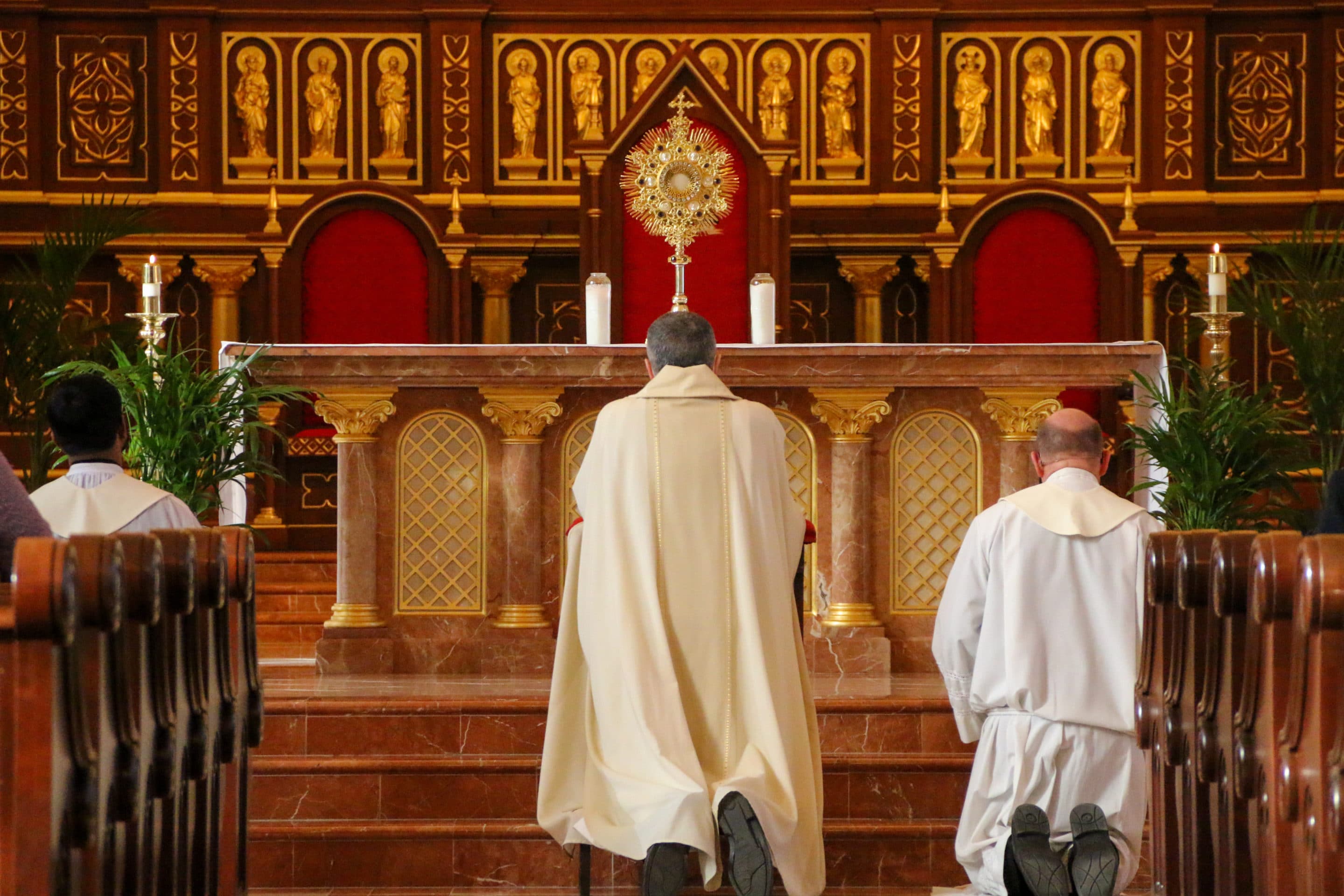 Pro-lifeMass-2022-2 Fr. Stephen Van Lal Than