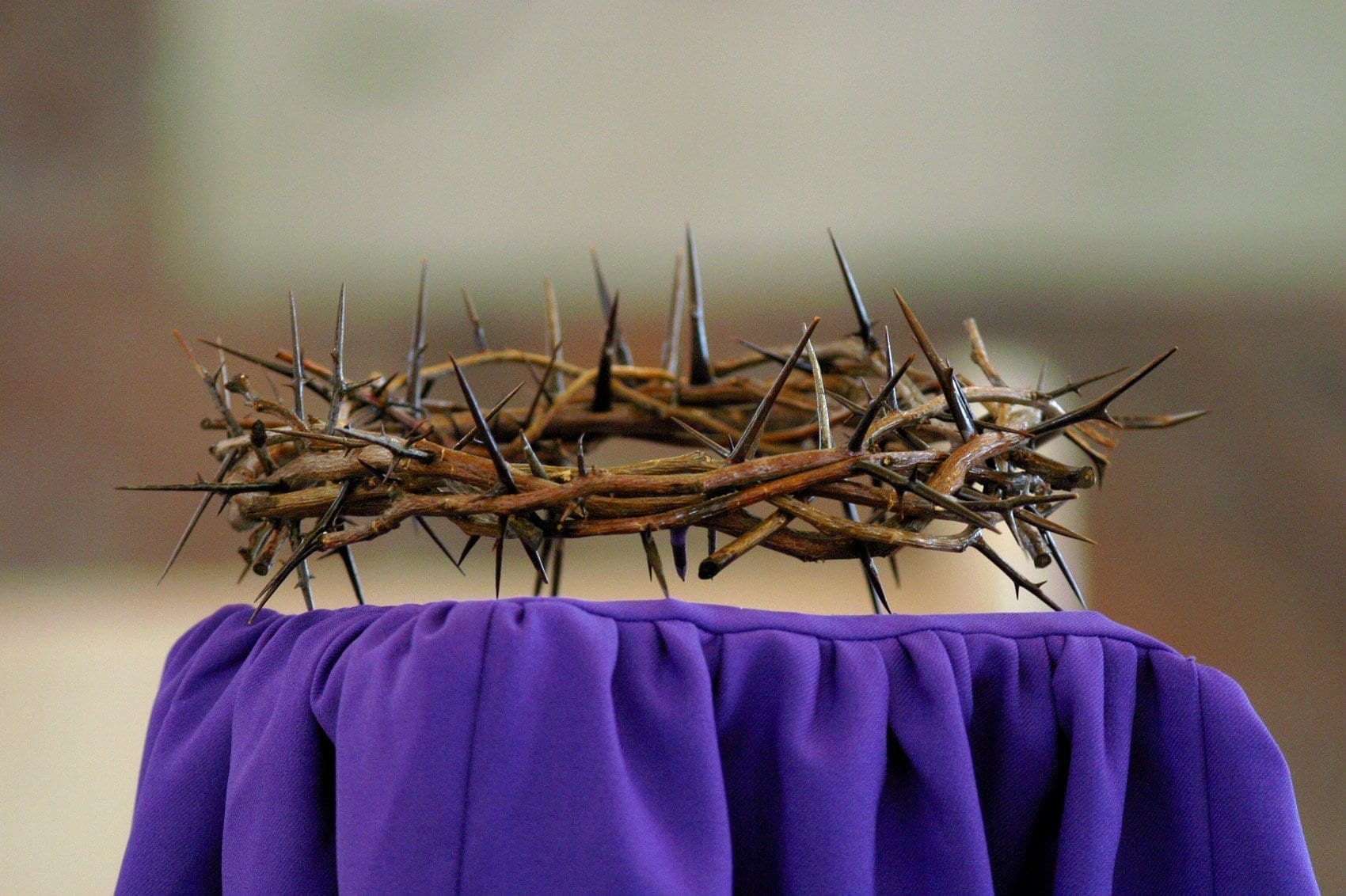 CROWN THORNS MARYLAND CHURCH Fr. Stephen Van Lal Than