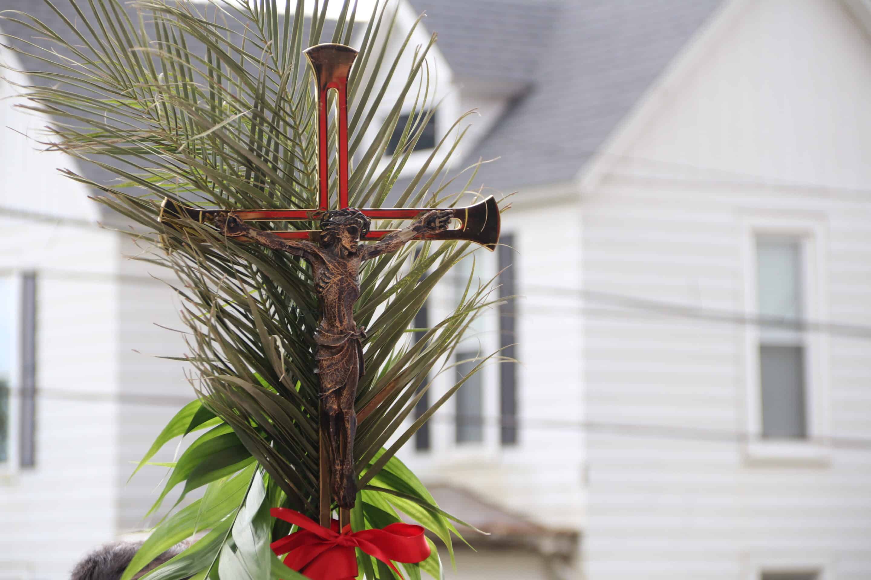 2029_PalmSunday Fr. Stephen Van Lal Than