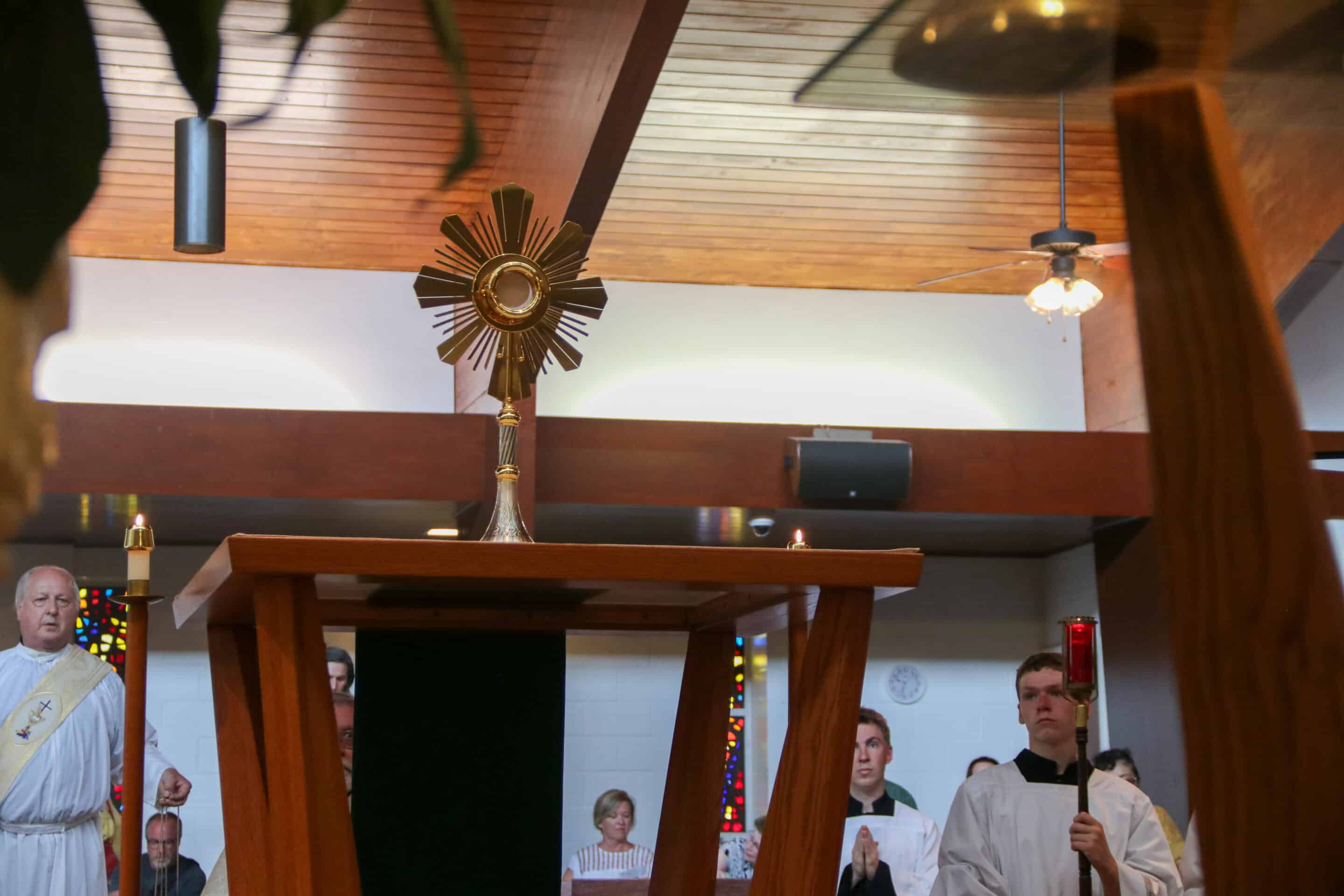 Eucharistic Pilgrimage Downtown Bowling Green-40 Fr. Stephen Van Lal Than