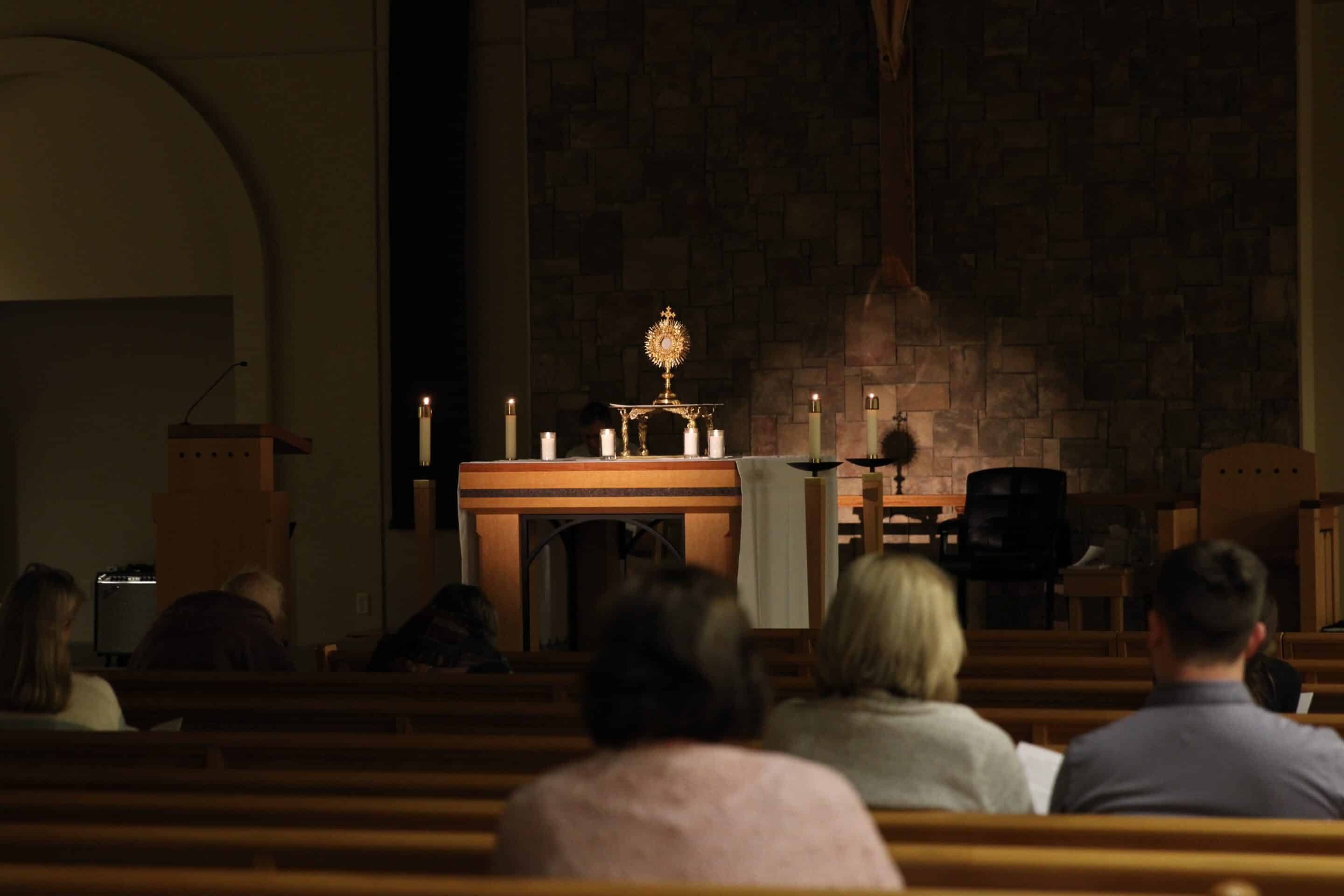 Jubilee Adoration event at St Leo_rotated edited Fr. Stephen Van Lal Than