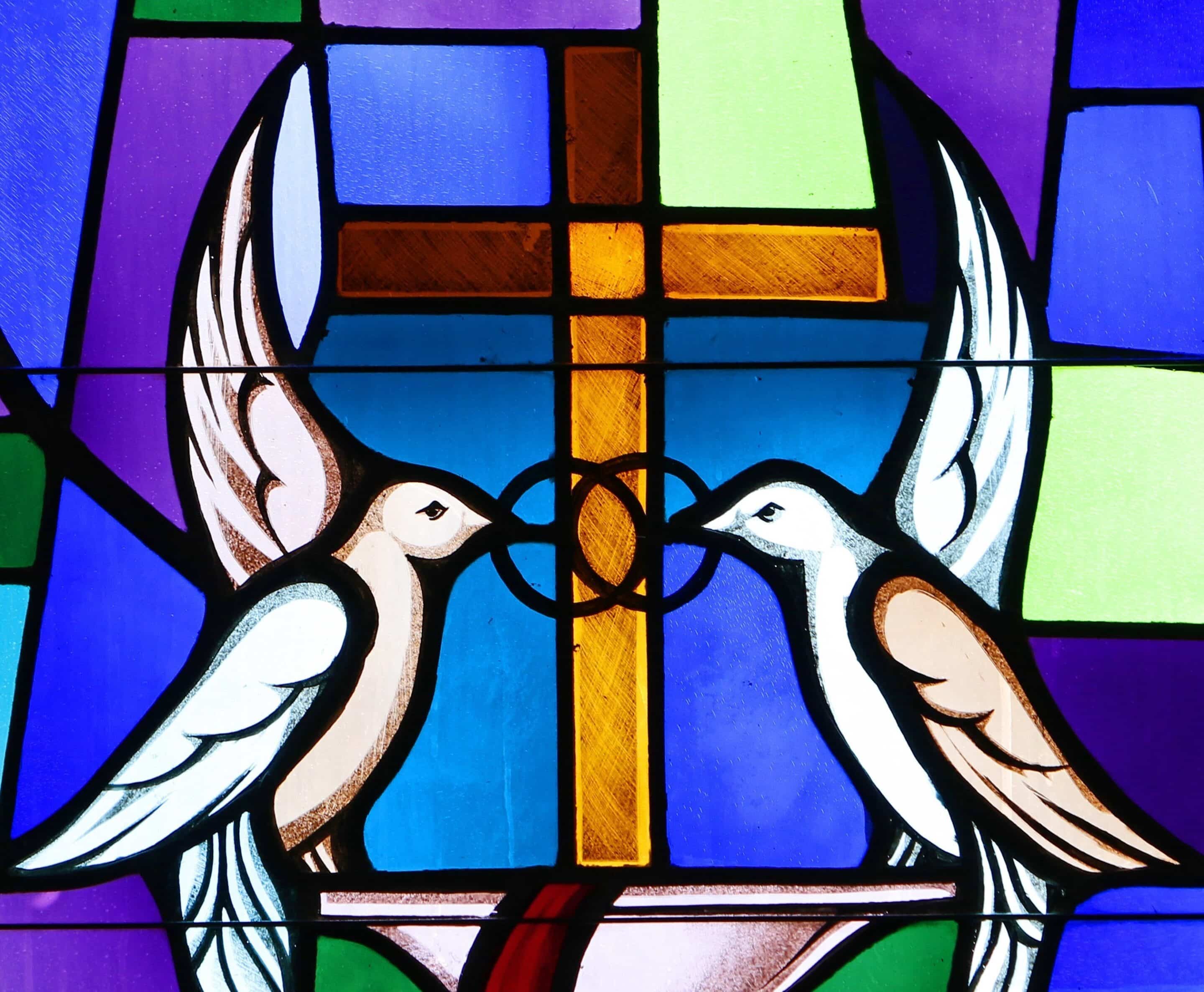 Fr. Stephen Van Lal Than