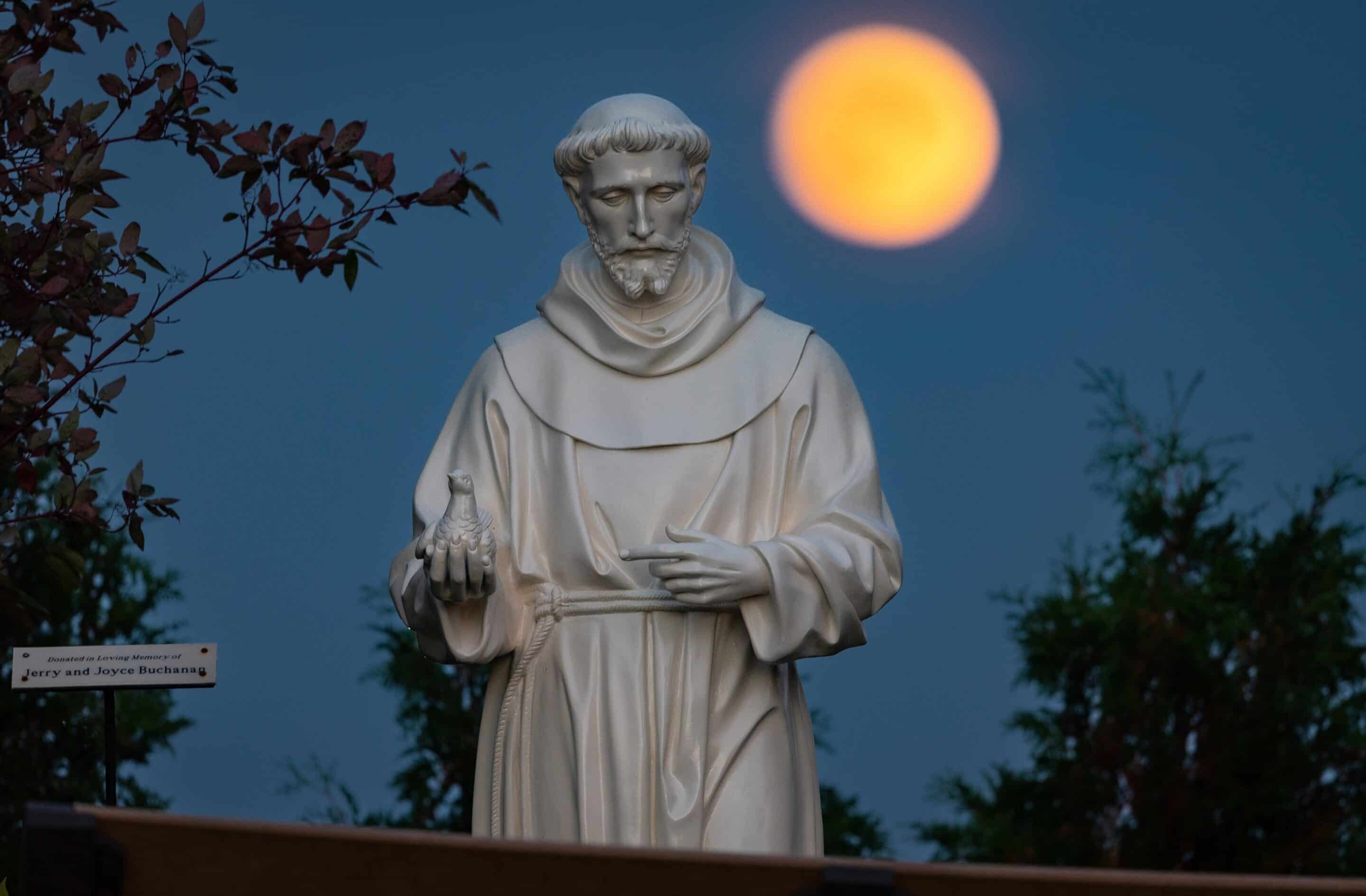 Fr. Stephen Van Lal Than