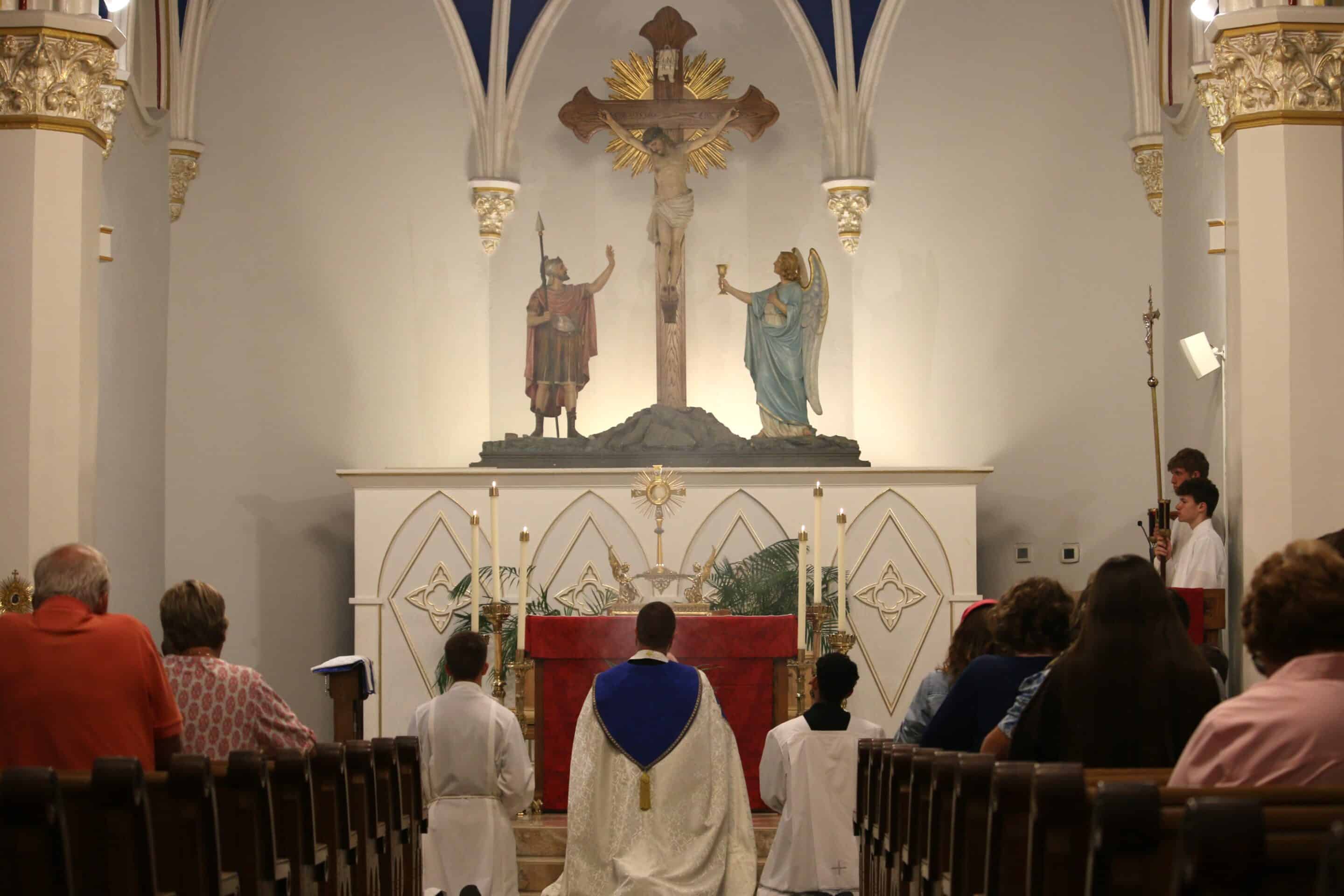 Fr. Stephen Van Lal Than