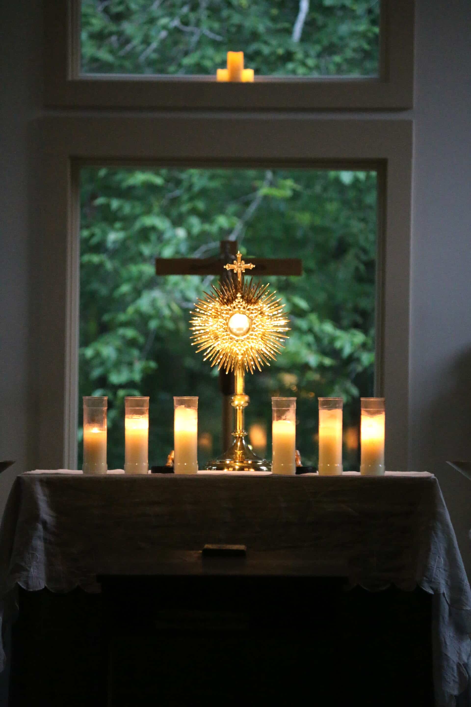 Fr. Stephen Van Lal Than